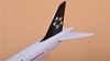 Mô hình máy bay Star Alliance