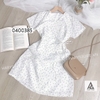 ĐẦM HOA CÚC NHỎ
