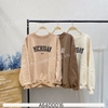 SWEATER MICHIGAN