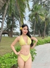 Perla Bikini Set | Đồ bơi nữ hai mảnh cạp thấp |  DỨA BIKINI & SPORTWEAR