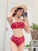 Đồ bơi nữ hai mảnh dáng ống | DỨA BIKINI & SPORTWEAR
