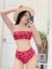 Đồ bơi nữ hai mảnh dáng ống | DỨA BIKINI & SPORTWEAR