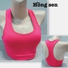Bra tập basic 6041