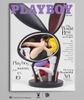 ZCWO x Playboy #1 Playboy Anatomy