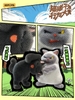 Cat Fight Behavior Showcase Series Blind Box