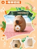 Capybara Little Pig Kapibala Blind Box Series