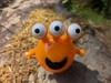 Orange Hosuky