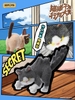 Cat Fight Behavior Showcase Series Blind Box