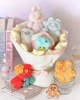 Shinwoo Warm Bear Hug Plush Blind Box Series