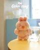 Shinwoo Warm Bear Hug Plush Blind Box Series