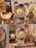 zZoton My Little Cat Plush Series Blind Box