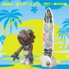 Wasaboy100% Surf206 Blind Box Series