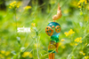 The Void Spectrum Series Green by Sank Toys