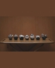 Robin Huang - Copiapoa Mudball Blind Box Series