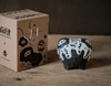 Robin Huang - Copiapoa Mudball Blind Box Series
