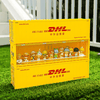 Container Display Case XG013