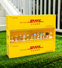 Container Display Case XG013