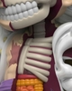XXRAY PLUS: LUFFY GEAR 5 EDITION