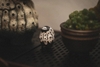 Robin Huang - Copiapoa Mudball Blind Box Series