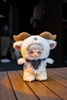 Maymei Dark Forest Plush Blind Box Series
