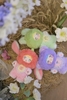 Nommi v3 Blind Box
