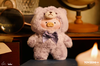 LuLu the Piggy - Vintage Teddy Shop Vinyl Face Blind Box Series