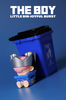 The Boy-Little Bin-Joyful Burst