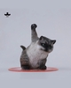 JXK-Super Cat-C