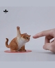 JXK-Super Cat-B
