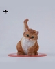 JXK-Super Cat-D