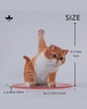 JXK-Super Cat-B