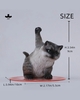 JXK-Super Cat-C