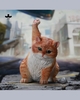 JXK-Super Cat-B