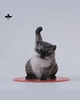 JXK-Super Cat-C