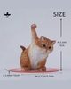 JXK-Super Cat-D