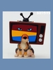 Animals Staring Marathon Series Blind Box