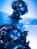 Sank-Nuclear Sea-Pollution