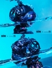 Sank-Nuclear Sea-Pollution