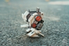Mr.Bone JR Vehicle - Rogue