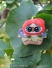 Azukisan Valley- Plush Brooches Blind Box