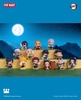 Demon Slayer : Kimetsu no Yaiba Birth Flower Blind Box Series