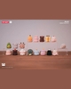 Pucky Animal Beanie Blind Box Series