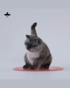 JXK-Super Cat-C
