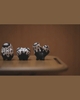 Robin Huang - Copiapoa Mudball Blind Box Series