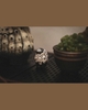 Robin Huang - Copiapoa Mudball Blind Box Series