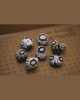 Robin Huang - Copiapoa Mudball Blind Box Series