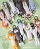[Pre-order] Cat's Hug | Doll Version Blind Box Series
