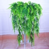Cụm lá dương xỉ xoắn rủ