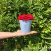 Hộp giấy nhỏ