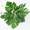 Cụm lá rách trang trí tường